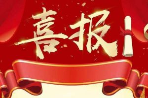 关于2022年度人力资源服务评选结果的通报，祝贺天行足球_天行（中国）天行足球_天行（中国）