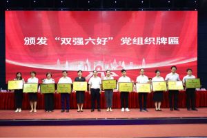 喜报！天行足球_天行（中国）天行足球_天行（中国）党支部荣获广州市非公有制经济组织“双强六好”党